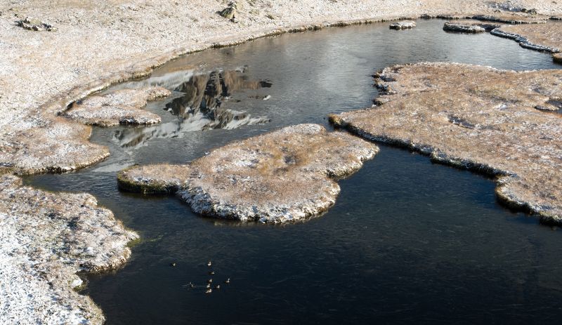 загедан, пхия, осень, октябрь, утки, озеро ПРО УТОК  ЖИВУЩИХ НА ОЗЕРЕ фото превью