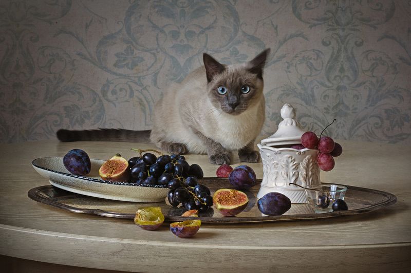 Вегетарианство фото превью