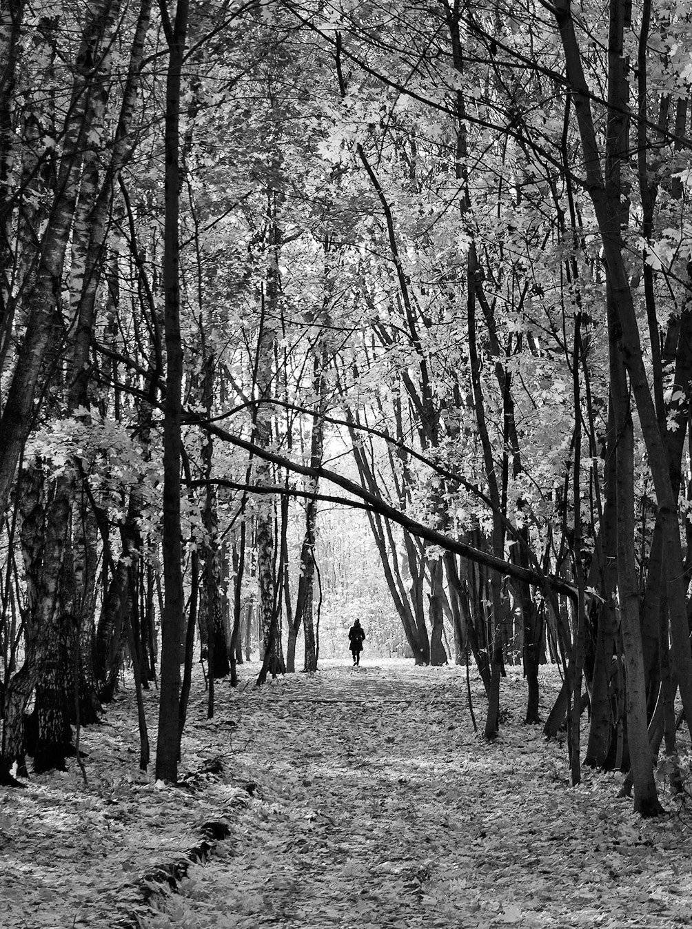 , Влад Сидорак