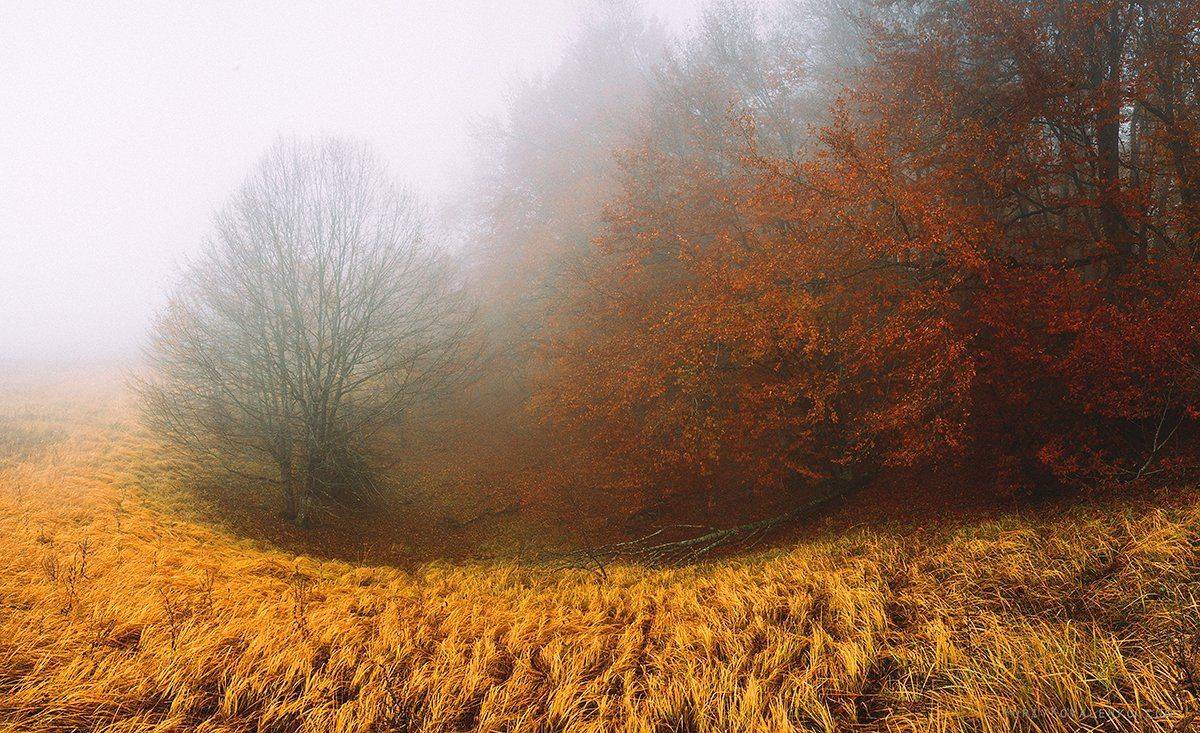 , Юрий Коваленко