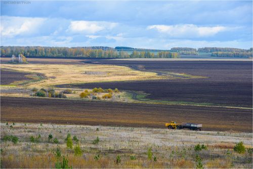 Поздняя страда