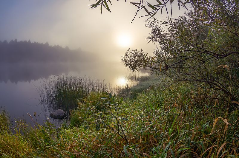 про прохладное утро фото превью