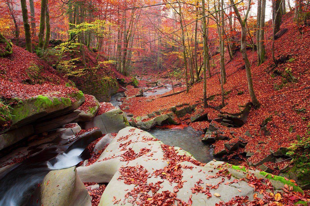 , Виталий Ра