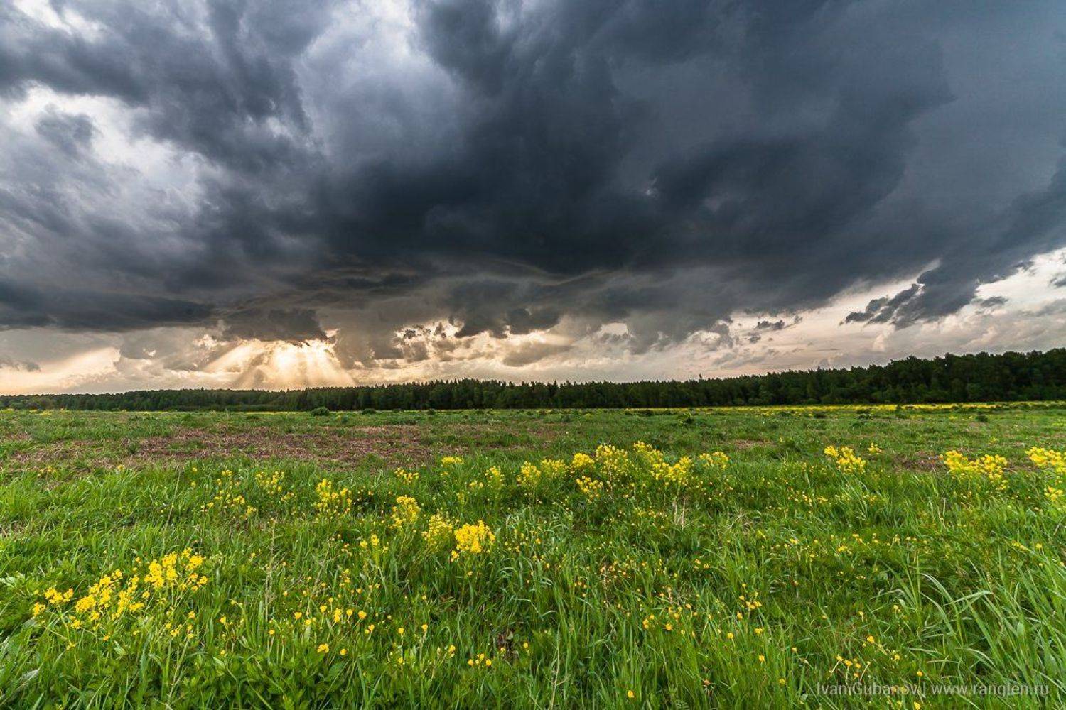 небо, пейзаж, россия, ненастье, гроза, утро, поле, Иван Губанов