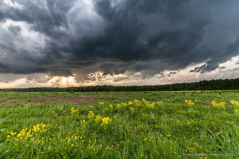 небо, пейзаж, россия, ненастье, гроза, утро, поле Утреннее небо фото превью