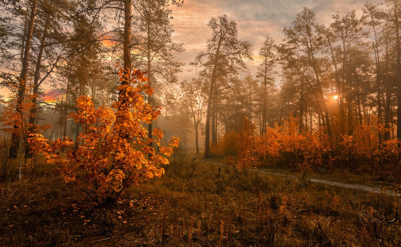 вечерняя прогулка фото превью