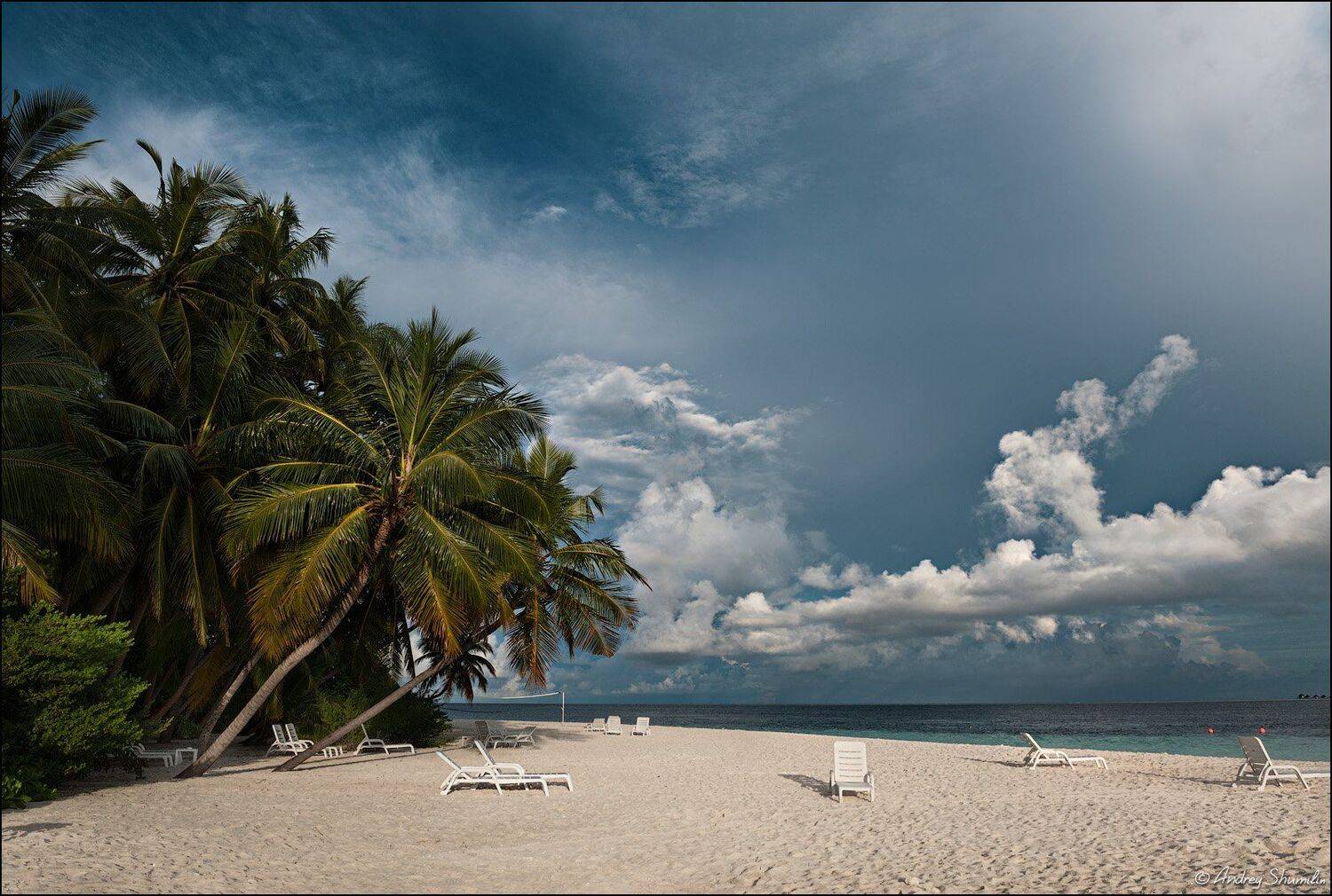 , Андрей Шумилин