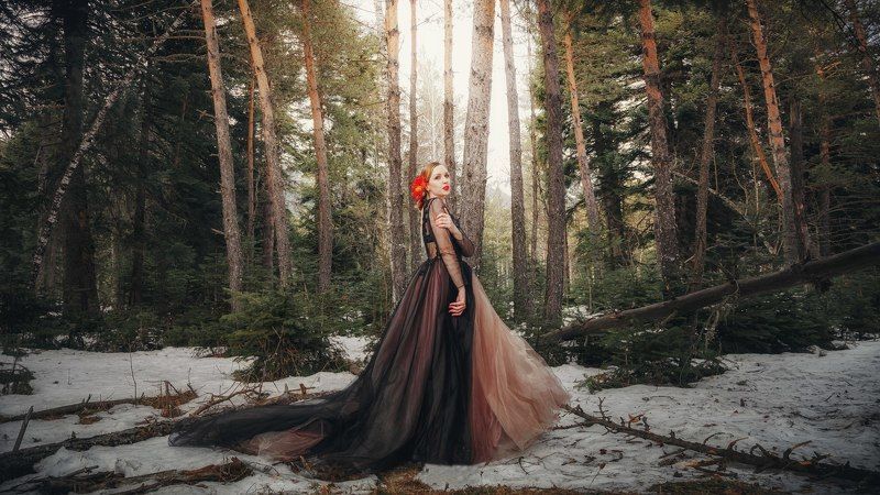 деву Еловое танго фото превью