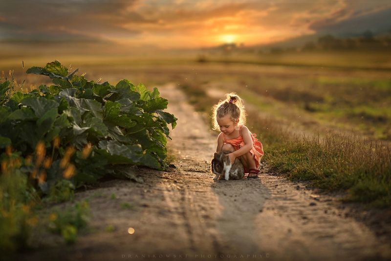 rabbit dinner girl cute children sweet sunset sun road sun rabbit dinner.. фото превью