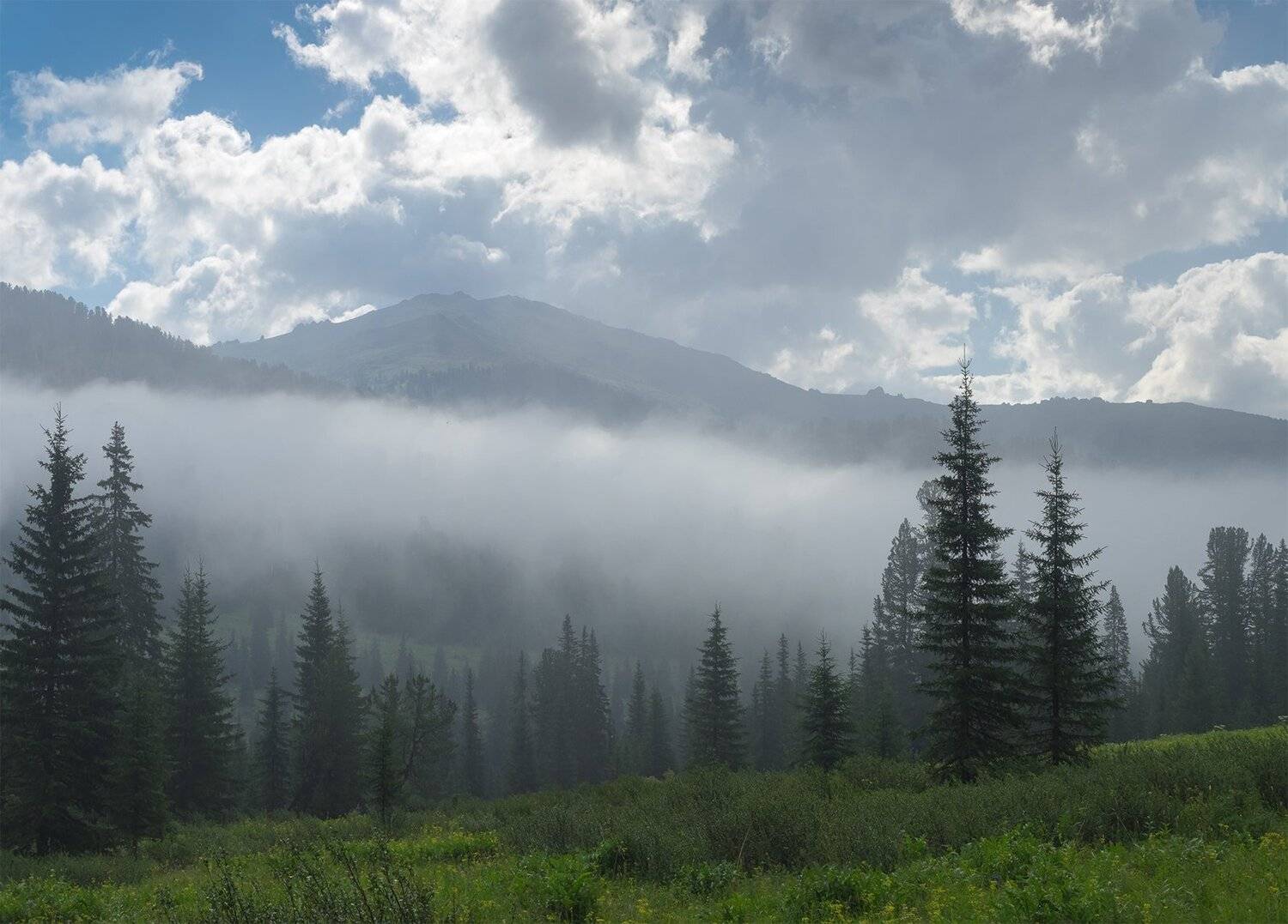 , Лещёнок Александр