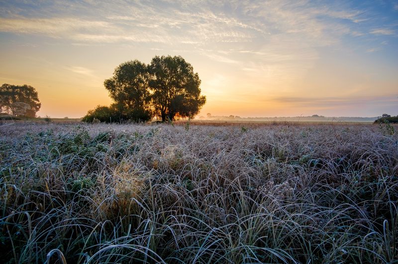 пейзаж,природа,рассвет Первый заморозок фото превью