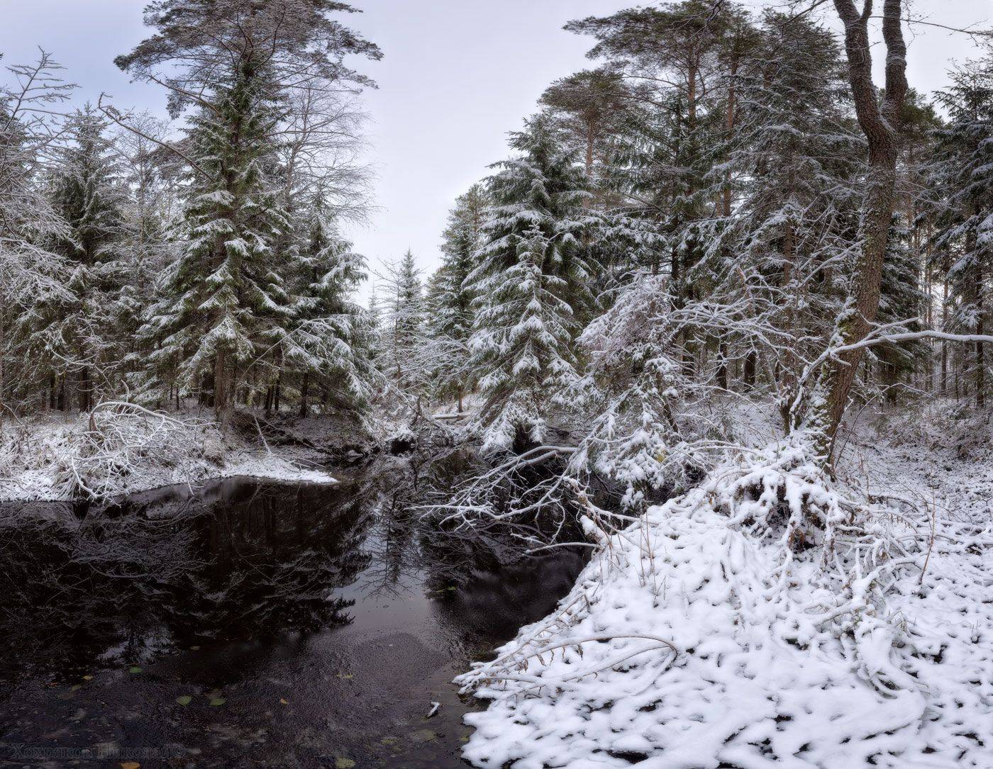 , Хохряков Николай