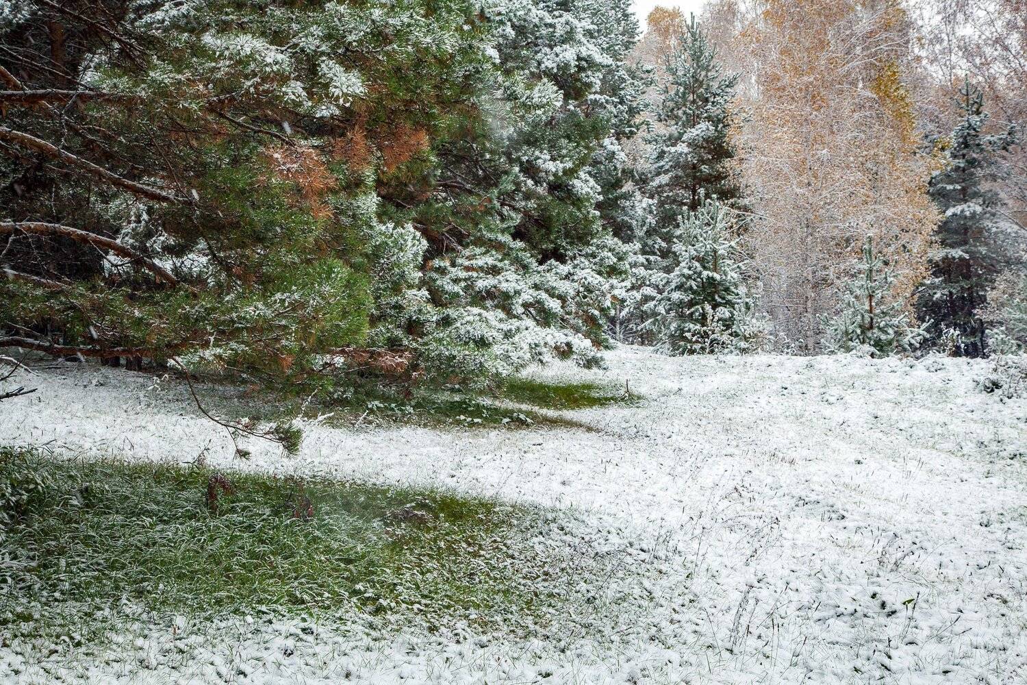 , Сергей Евдокимов