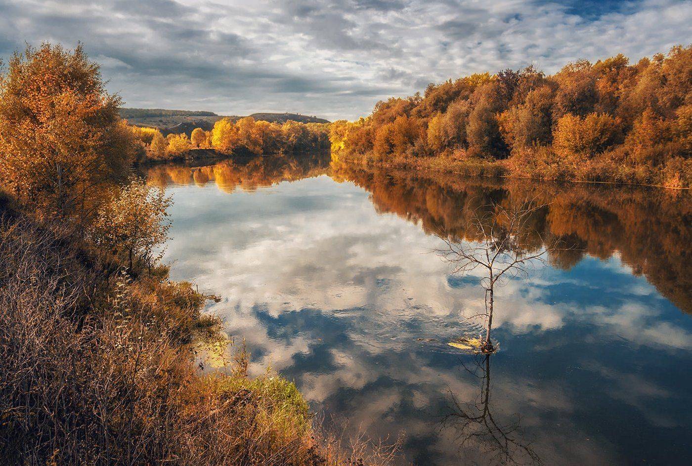 , Игорь Мелекесцев