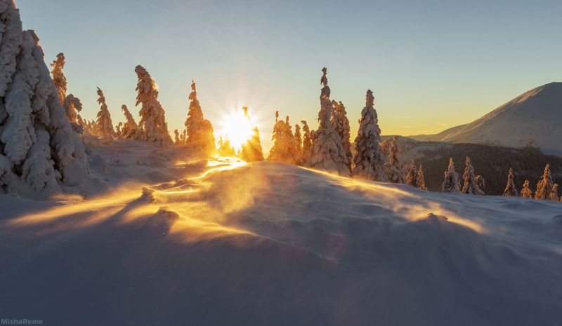 Frosty rays фото превью