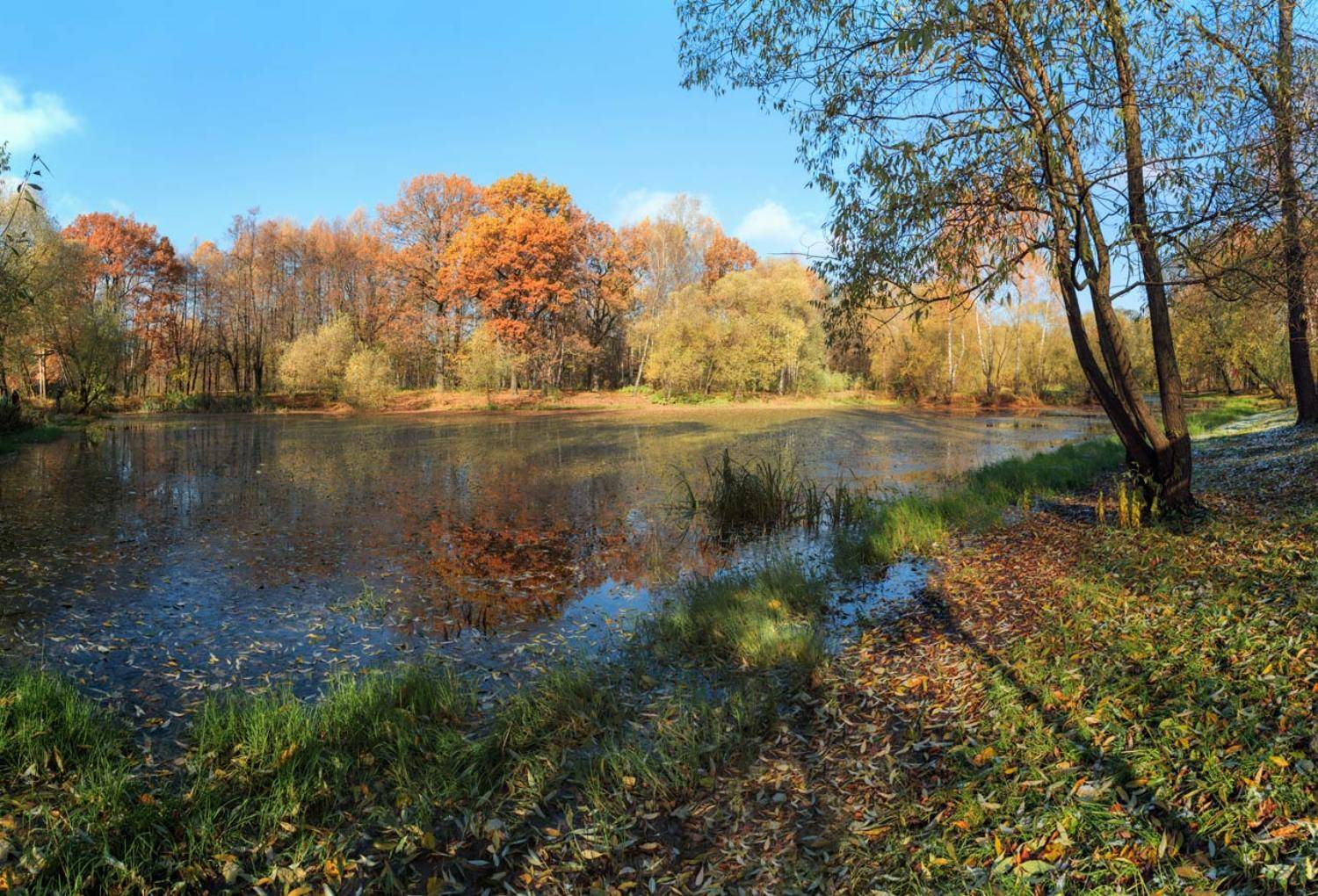 москва, парк, осень, солнце, Виктор Климкин