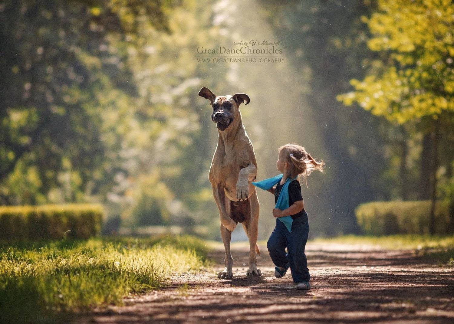 , Андрей Селиверстов