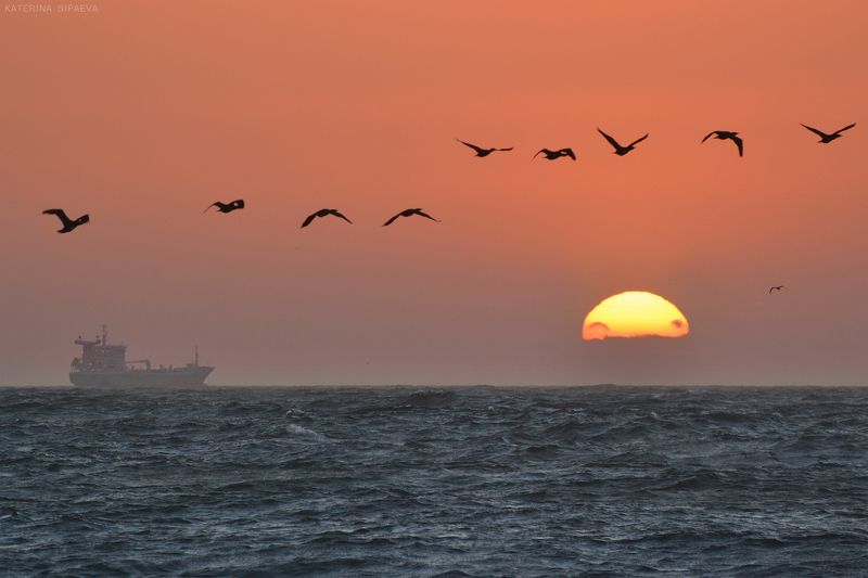 балтийское море, пейзаж, закат Уходит до завтра фото превью