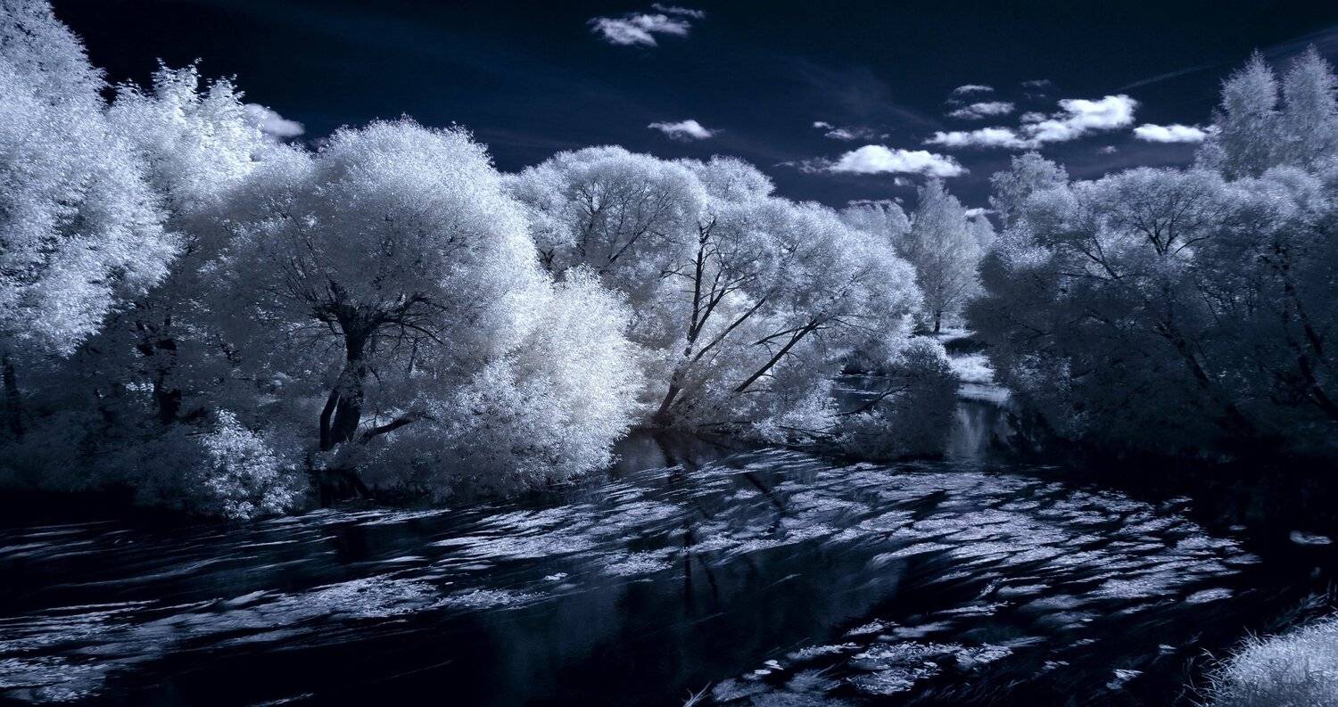 infrared,ик-фото,инфракрасное фото,инфракрасная фотография,пейзаж,природа,беларусь,лето, Sixten ( Сергей )