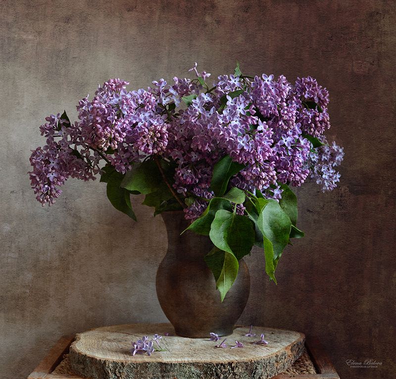 натюрморт Сирень фото превью