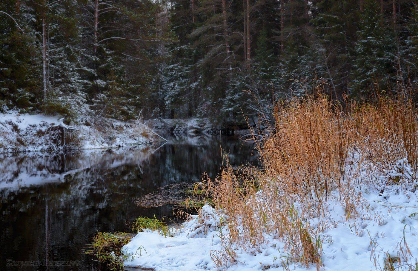 , Хохряков Николай