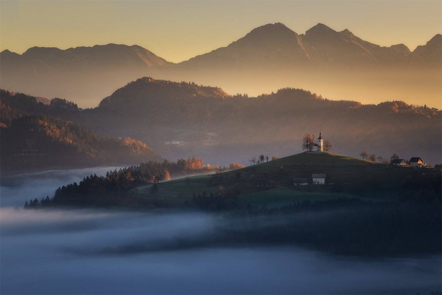 , Дмитрий Купрацевич