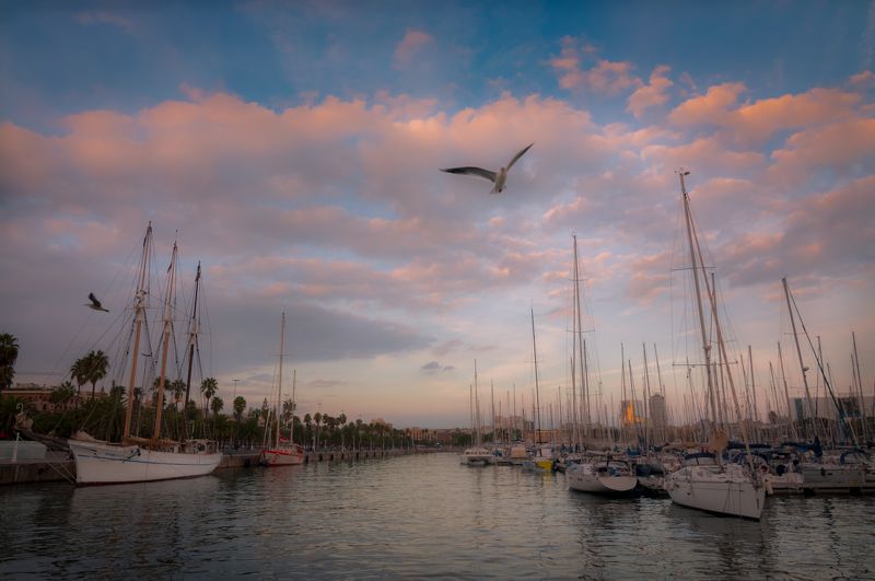 фото превью