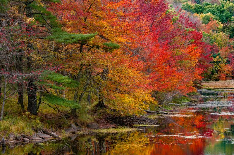 Autumn hues фото превью