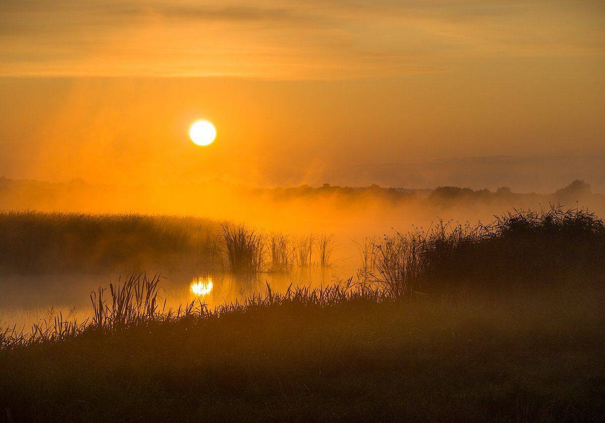 , Марина Брыдня