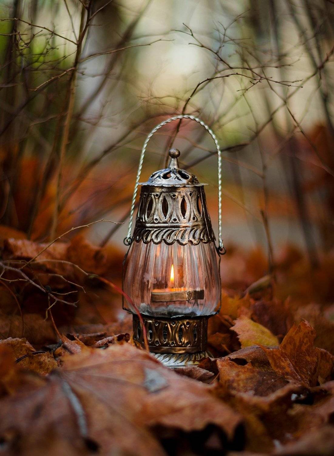 , Чернякова Анна