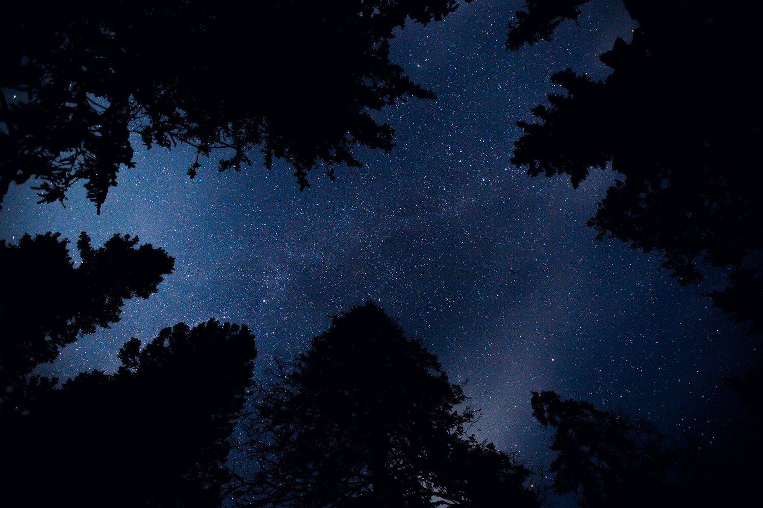 Таганай, звёзды, небо, лес, тайга, путешествия, Владимир Кочкин, ColibriTravel, Владимир