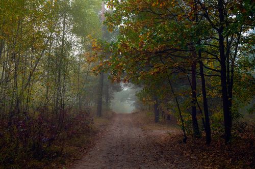 autumn melancholy