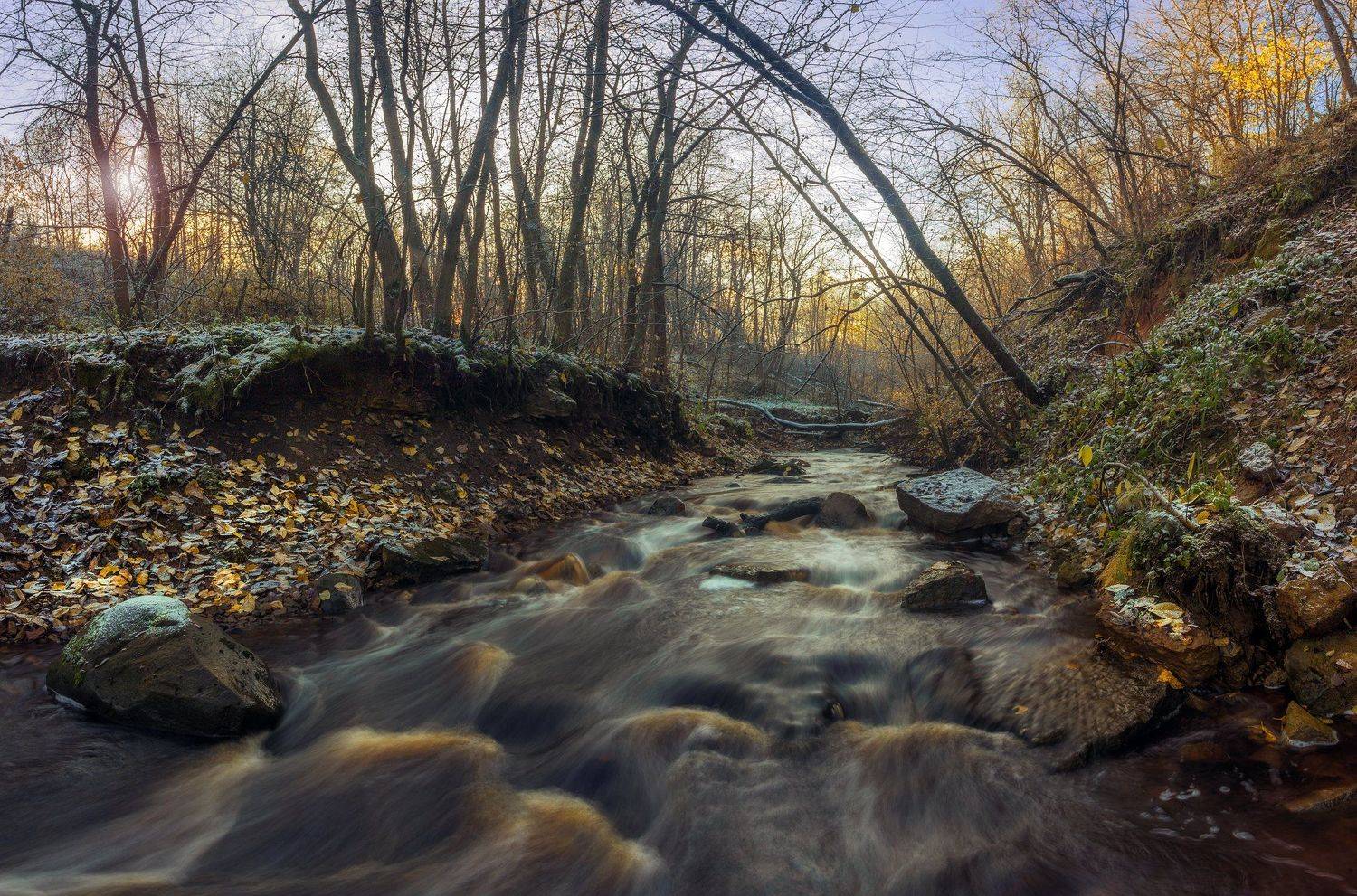 осень ,мороз, иней, Павел Ващенков