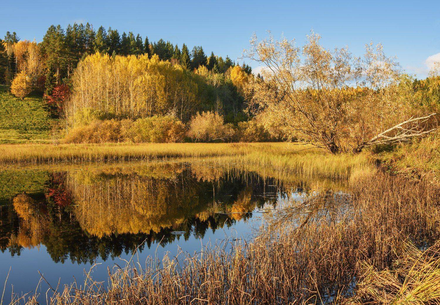 осень, сентябрь, деревья, вода, река, горка, отражения, Ра Вера