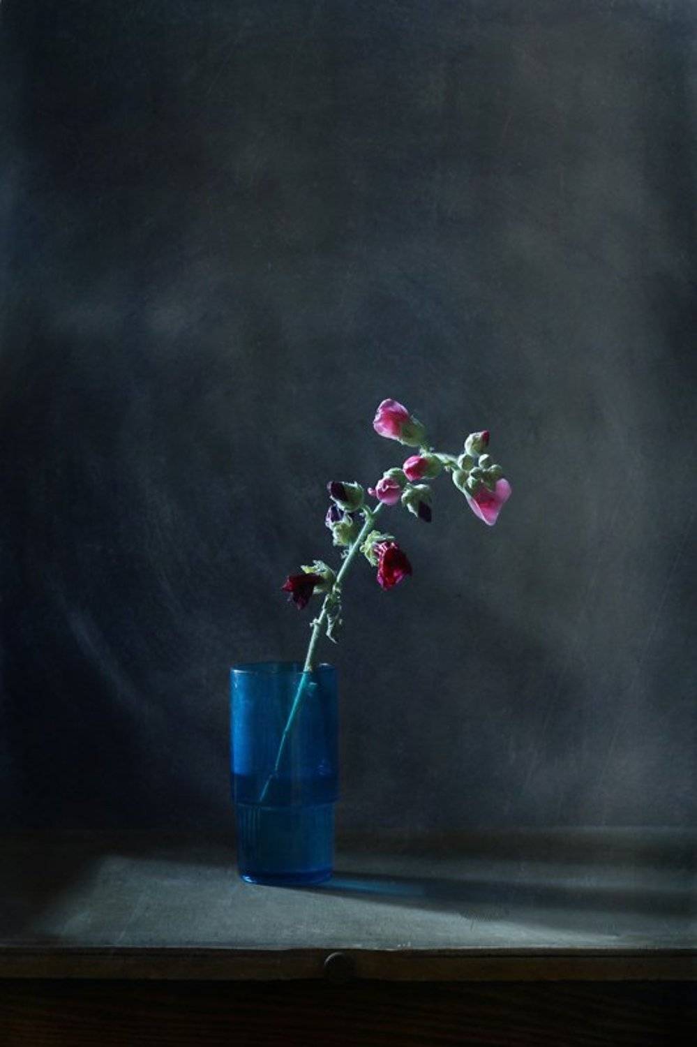 натюрморт, цветы, мальва, минимализм, Курочкина Диана