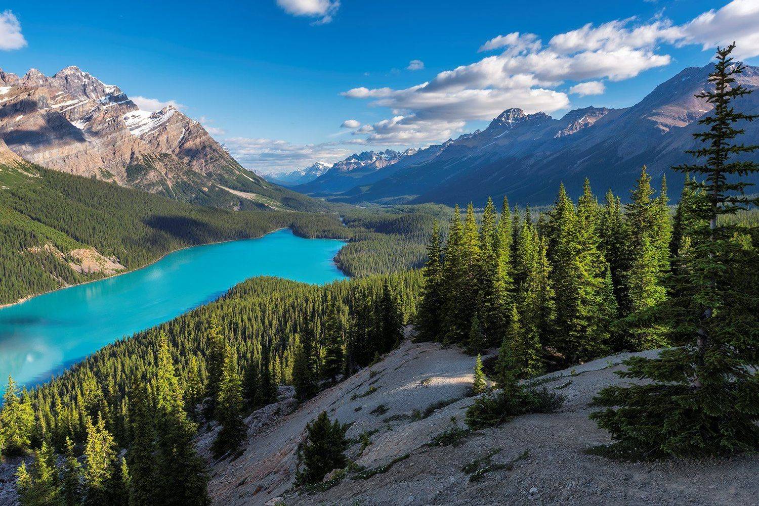 peyto lake, rocky mountains, banff national park, canada, banff, lake, nature, louise, moraine, landscape, jasper, scenery, mountain, canadian rockies, summer, rocky, alberta, scenic, sunrise, hiking, trekking, national, park, calgary,, Дмитрий Виноградов