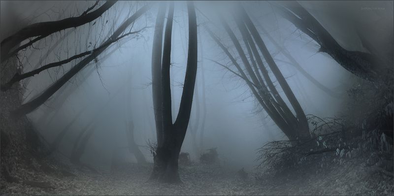Mystic 4