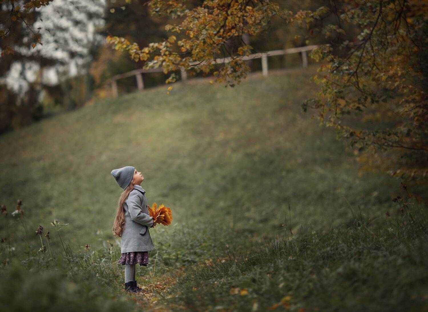 , Елена Силина