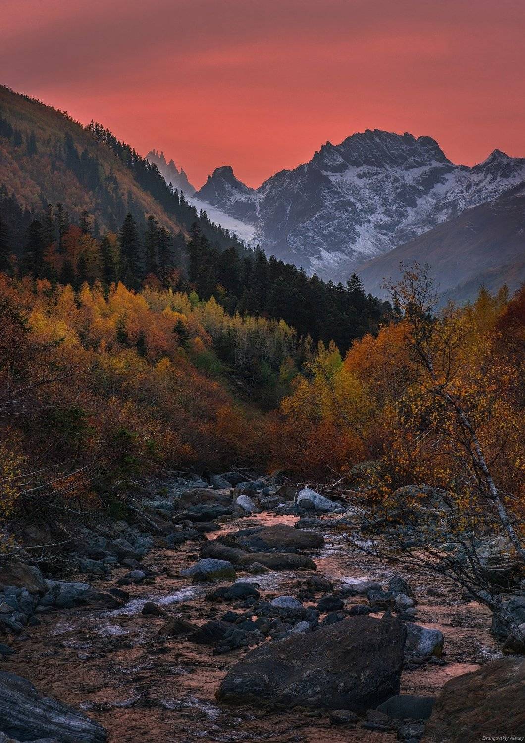 , Алексей Дранговский