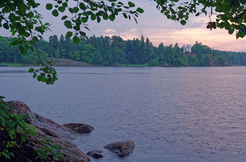 выборг_монрепо_осень_сентябрь_дождь Дождь в Монрепо. фото превью