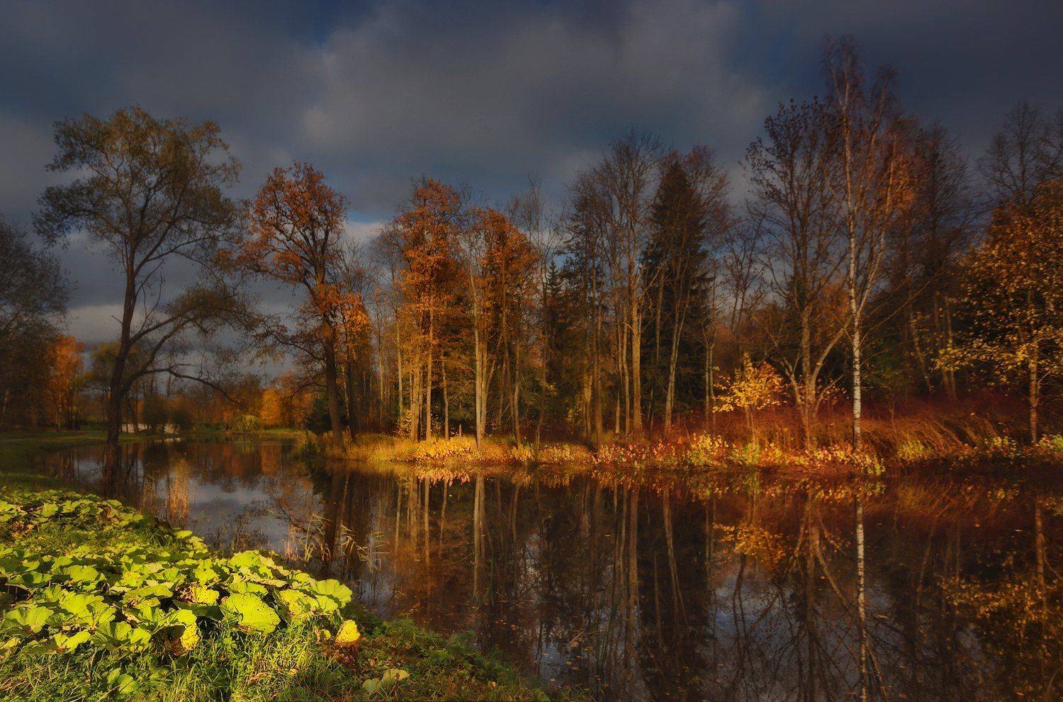 питер, пушкин, царскоесело, царское, александровский, осень, пейзаж, александровскийпарк, landscape, tsarskoyeselo, autumn, Таня SHE (Aiya)