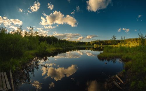 Щепкино болото