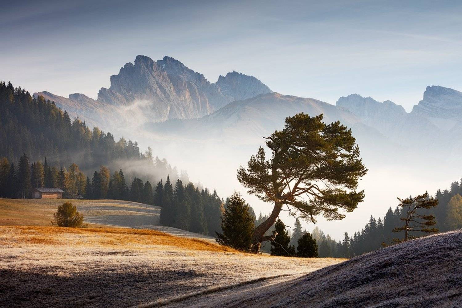 dolomites, dolomiti, light, fog, mist, morning, pine, tree, mountains, peaks, alps, europe, mood, autumn, fall, Martin Rak
