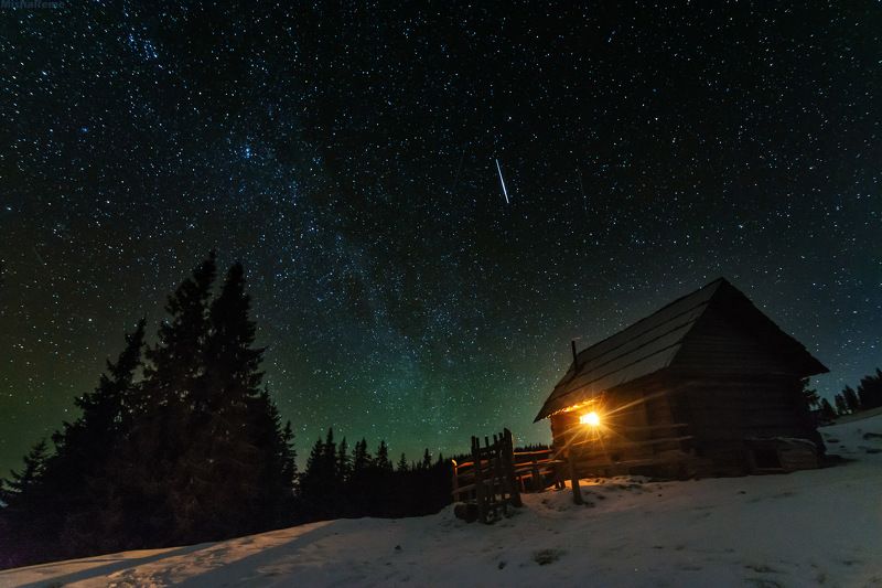 Night of desires фото превью