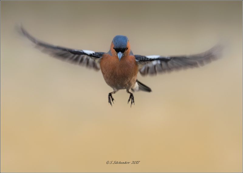 Зависание... фото превью