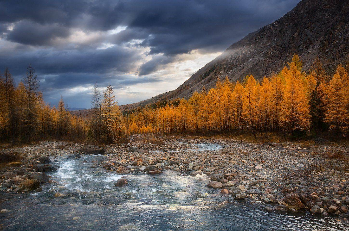 алтай, горы, осень, актру, Владимир Ляпин