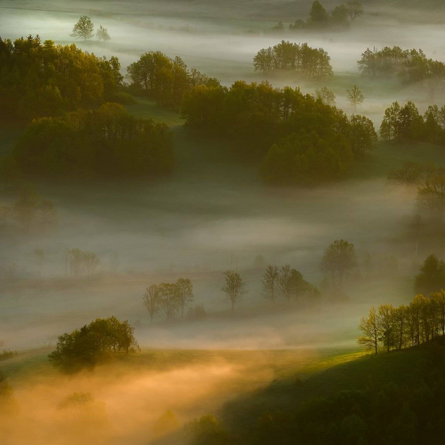 landscape,canon,light,spring, Iza,Darek