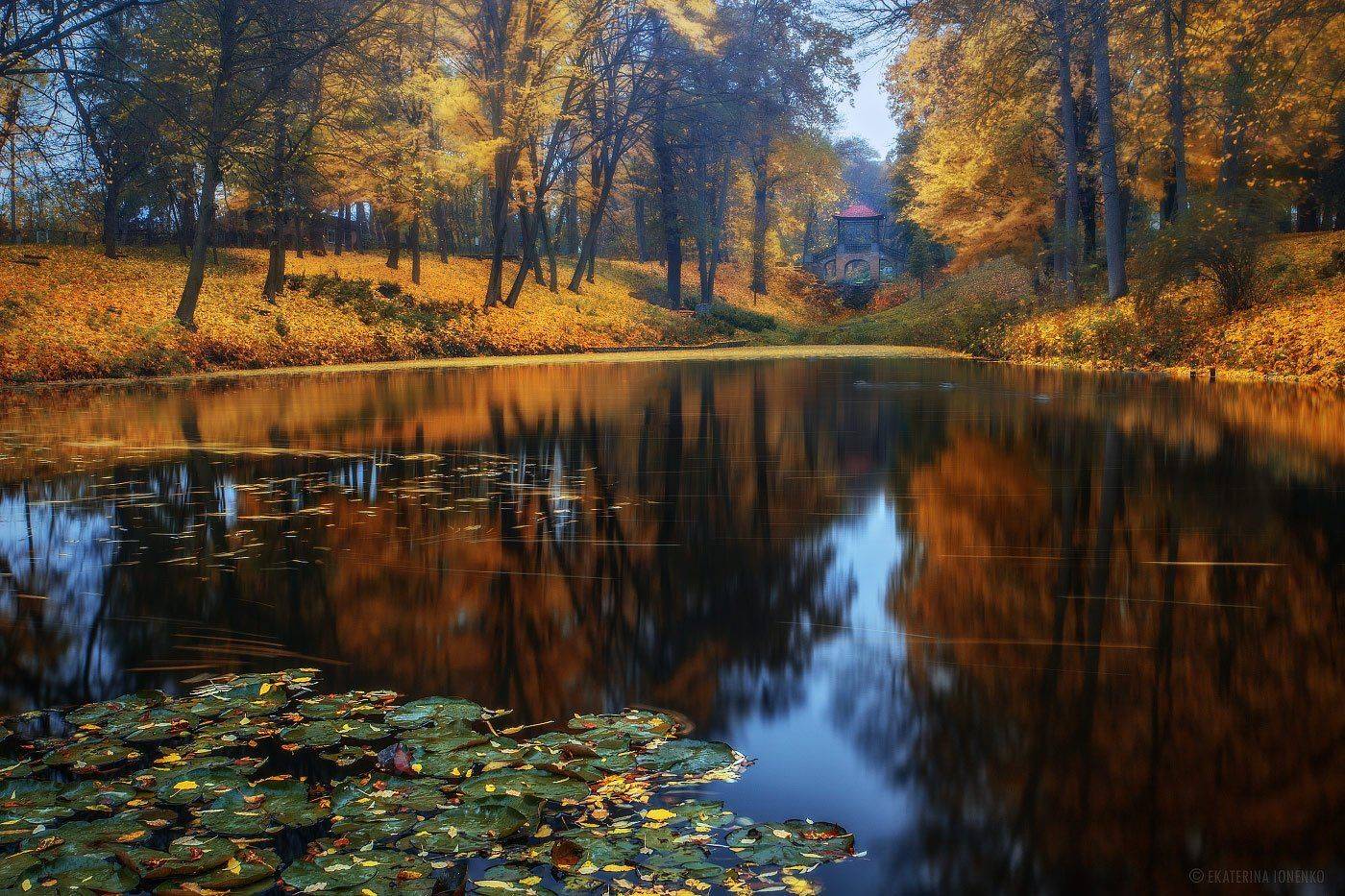 , Екатерина Ионенко