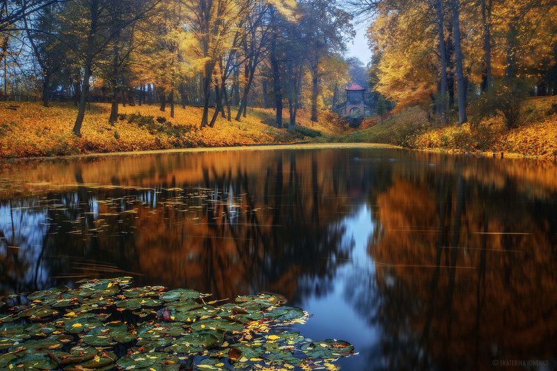 Печальная пора... фото превью
