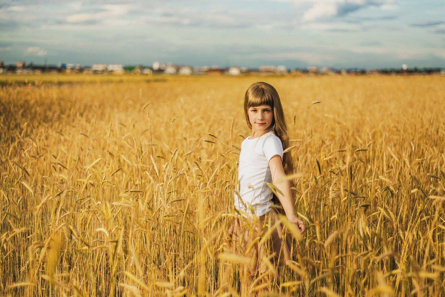 , Зарецкий Юрий